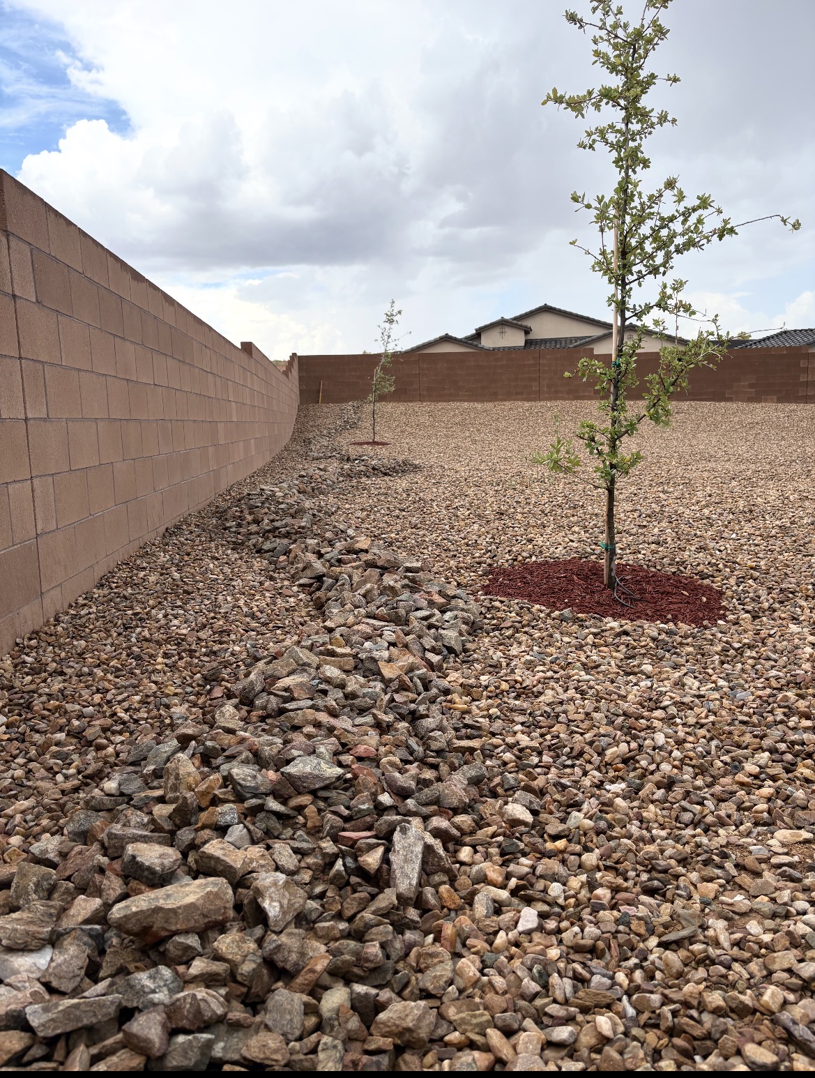 Desert landscaping with gravel, rock border, and newly planted trees